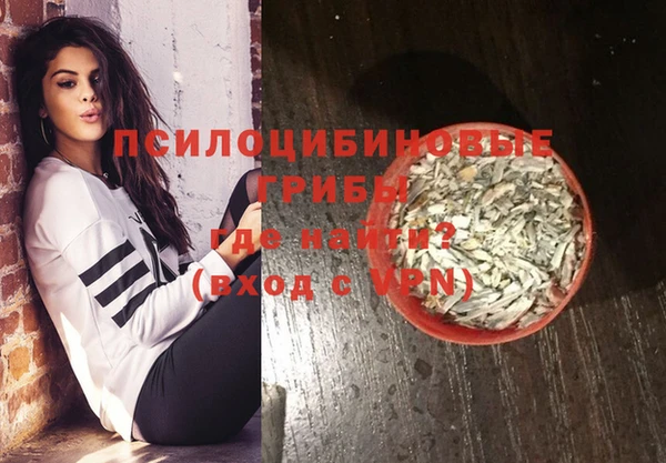 сатива Баксан