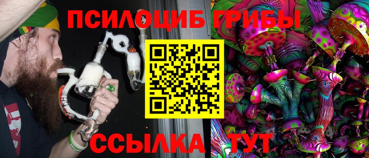 где найти наркотики  Галлюциногенные грибы GOLDEN TEACHER  Вход с VPN  Дзержинск 