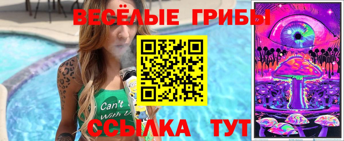 Псилоцибиновые грибы Psilocybine cubensis Дзержинск